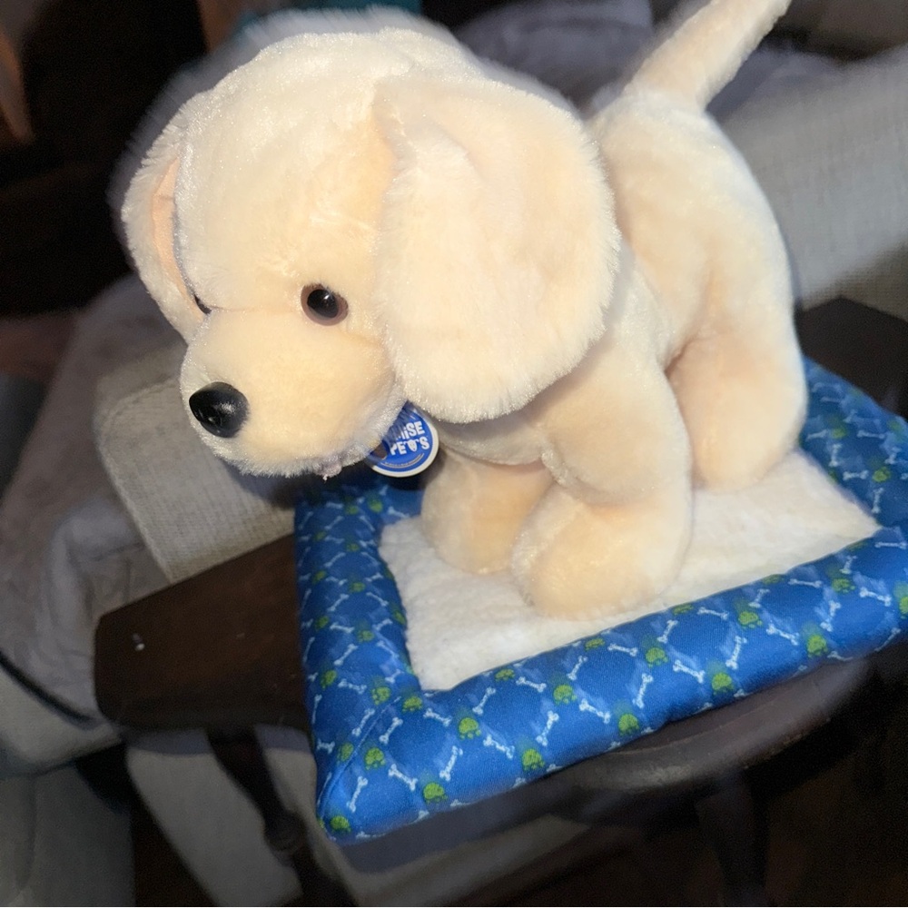 Build a Bear Promise Pets Golden Retriever Yellow Labrador Puppy 11" & Dog BED - Picture 16 of 16